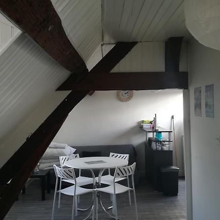 Appartement Spacieux Vue Sur Loire Proche Du Centre Blois Kültér fotó