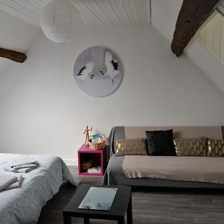 Appartement Spacieux Vue Sur Loire Proche Du Centre Blois Kültér fotó