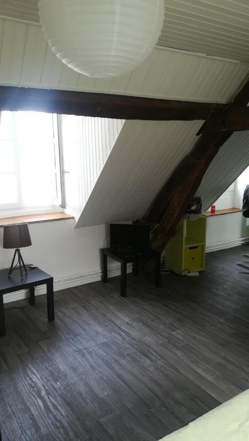 Appartement Spacieux Vue Sur Loire Proche Du Centre Blois Kültér fotó