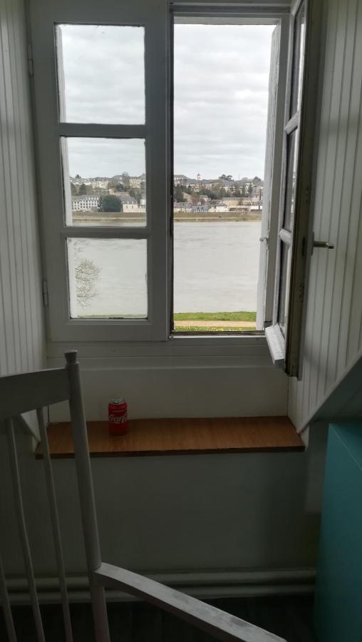 Appartement Spacieux Vue Sur Loire Proche Du Centre Blois Kültér fotó