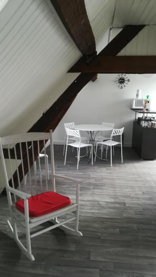 Appartement Spacieux Vue Sur Loire Proche Du Centre Blois Kültér fotó