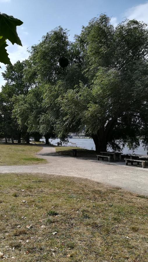 Appartement Spacieux Vue Sur Loire Proche Du Centre Blois Kültér fotó