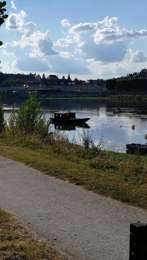 Appartement Spacieux Vue Sur Loire Proche Du Centre Blois Kültér fotó