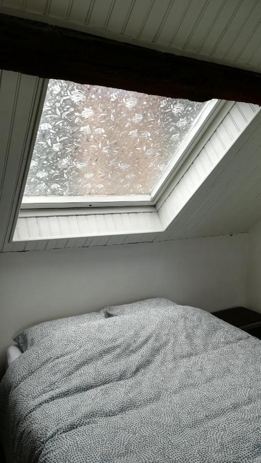 Appartement Spacieux Vue Sur Loire Proche Du Centre Blois Kültér fotó