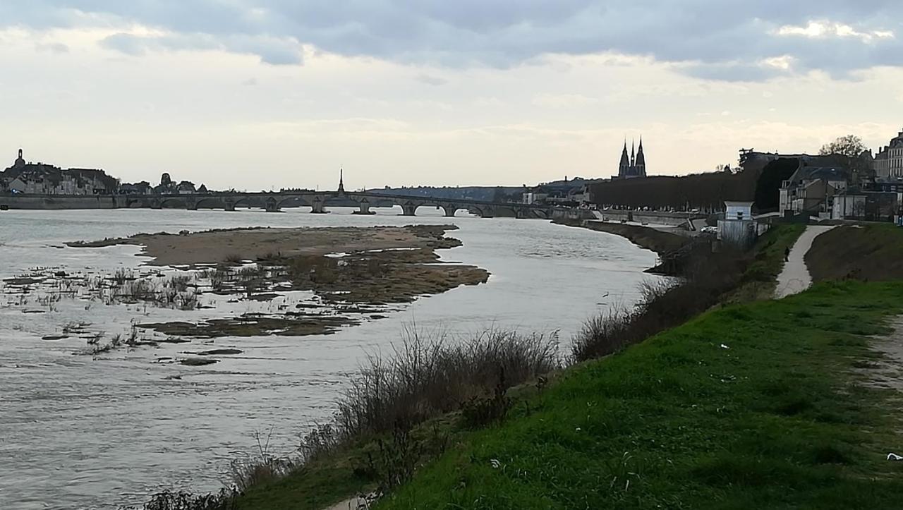 Appartement Spacieux Vue Sur Loire Proche Du Centre Blois Kültér fotó